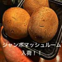 画像1323