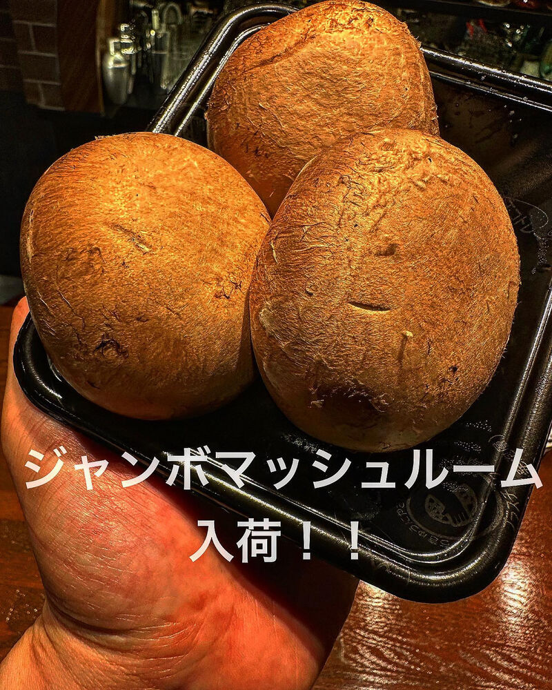 画像1323